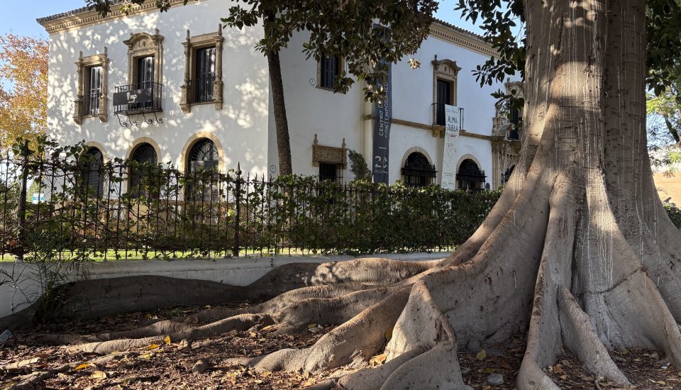 comprobar la situación urbanística de un inmueble