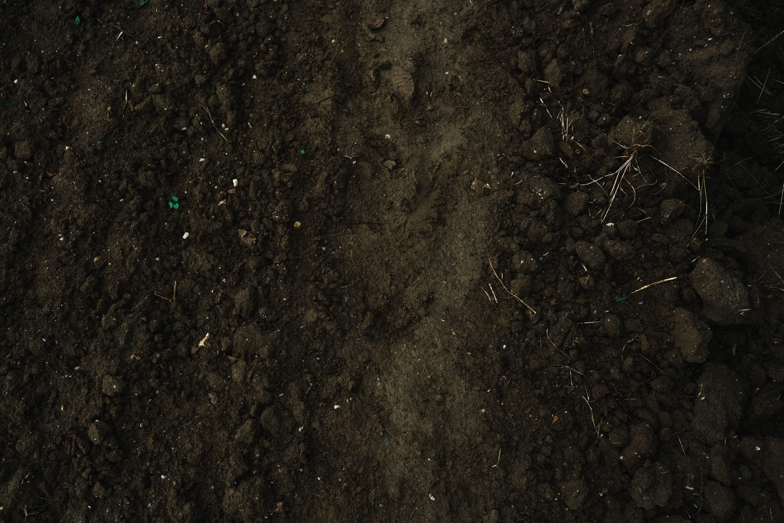 Valor Agrologico ALMA MECO scaled